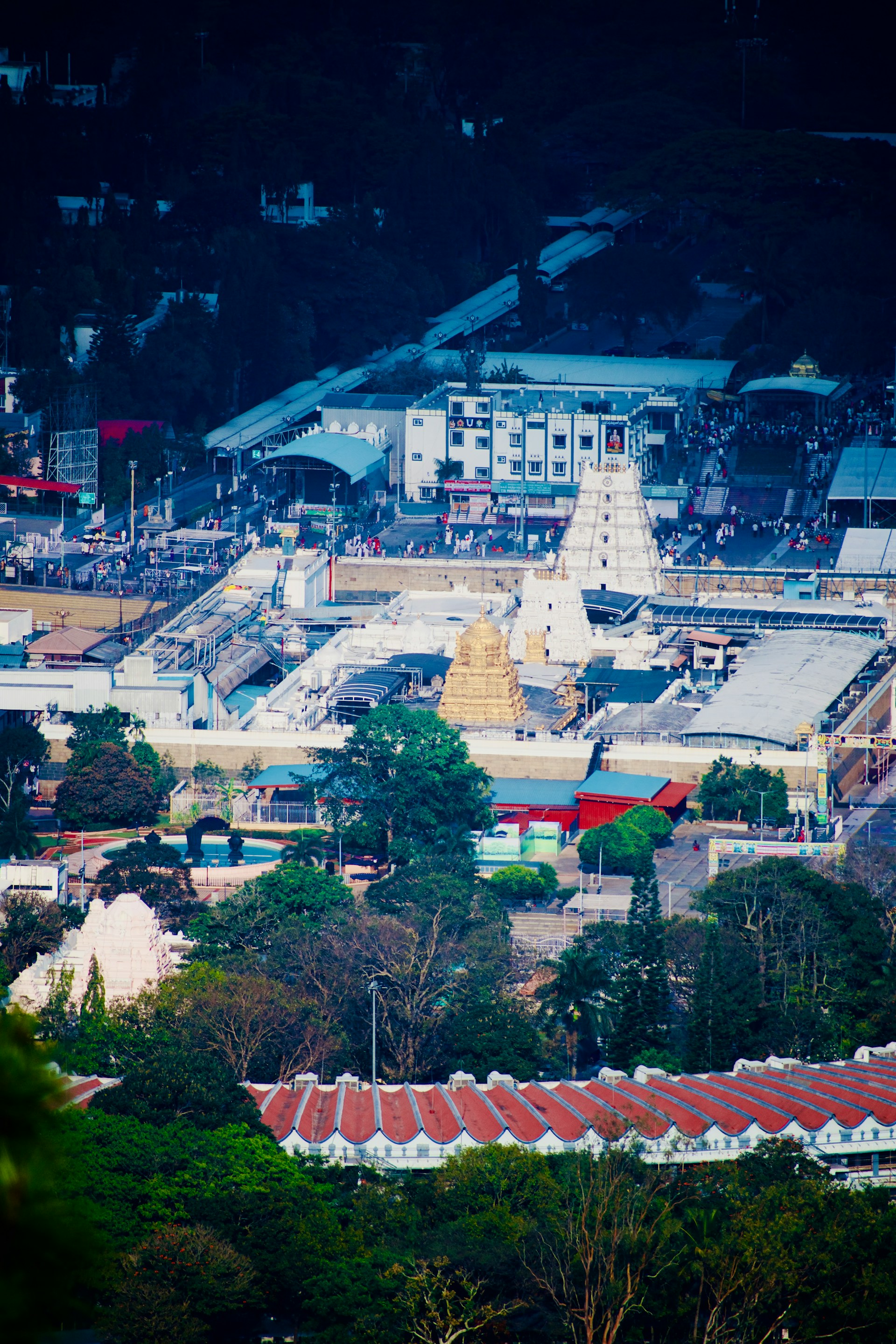 Seek Blessings at Sri Venkateswara Swamy Temple